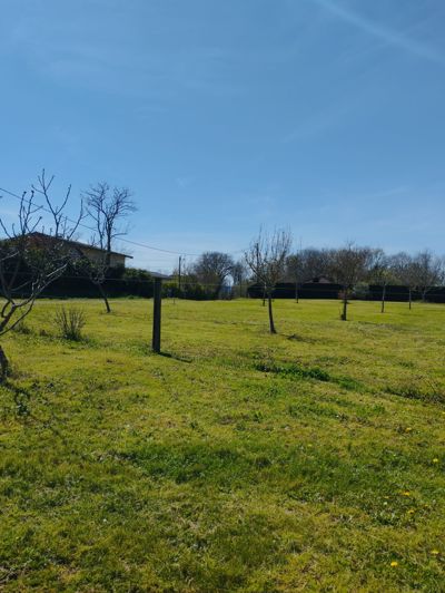 Image No.28-4 Bed House for sale