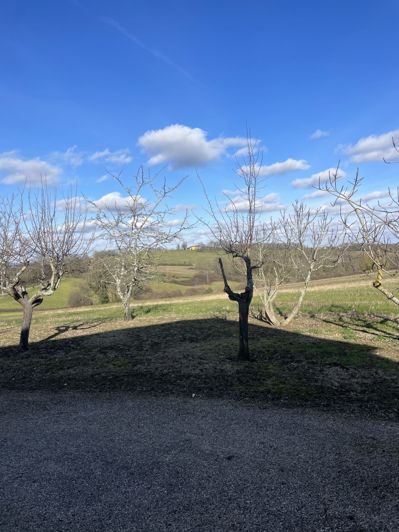 Image No.14-2 Bed House for sale