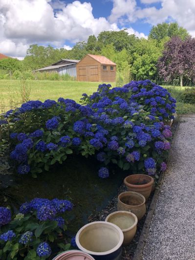 Image No.33-4 Bed House for sale