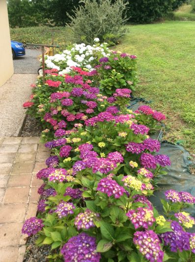 Image No.35-4 Bed House for sale