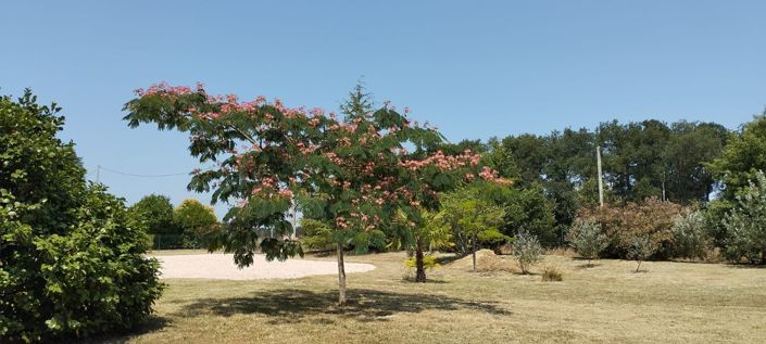 Image No.24-4 Bed House for sale