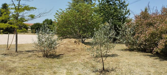 Image No.26-4 Bed House for sale