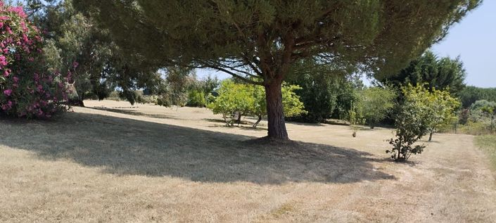 Image No.31-4 Bed House for sale