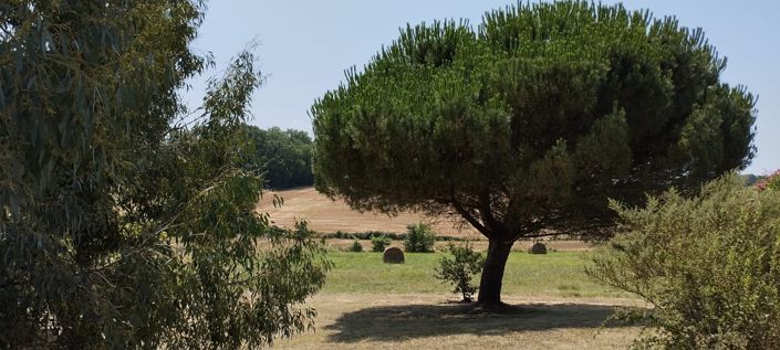 Image No.35-4 Bed House for sale