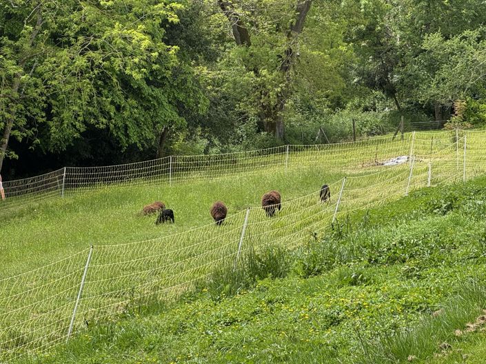 Image No.31-4 Bed House for sale