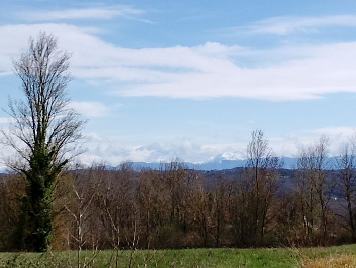 Image No.5-3 Bed House for sale