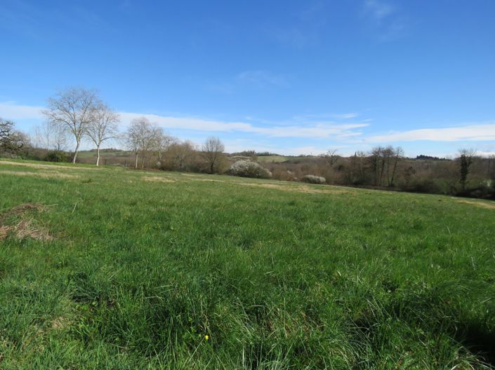 Image No.50-4 Bed House for sale