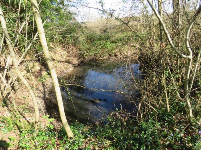 Image No.53-4 Bed House for sale