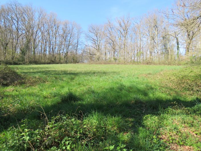 Image No.54-4 Bed House for sale