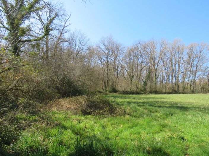 Image No.55-4 Bed House for sale