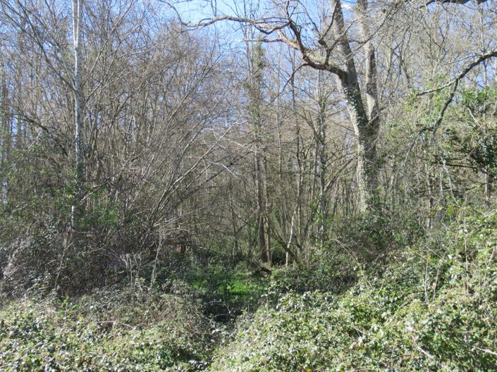 Image No.56-4 Bed House for sale