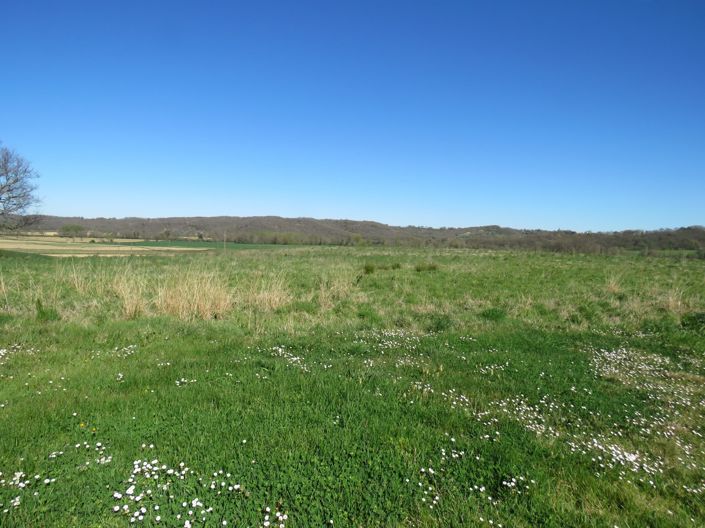 Image No.4-2 Bed House for sale