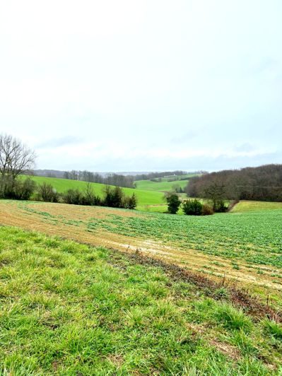 Image No.2-House for sale