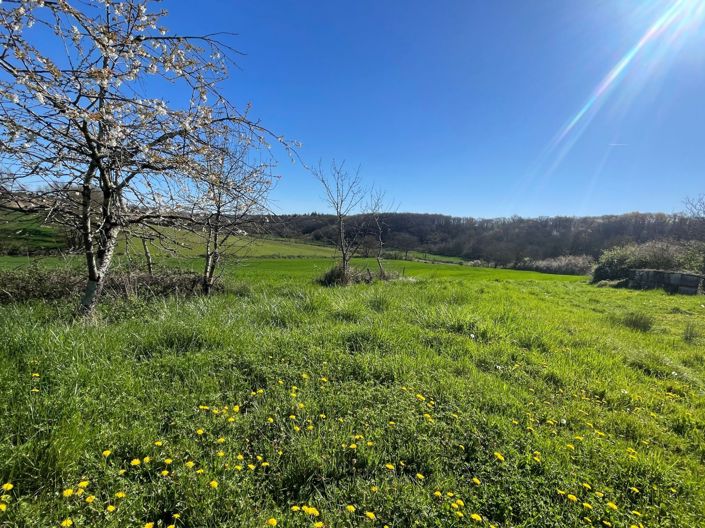 Image No.22-5 Bed House for sale