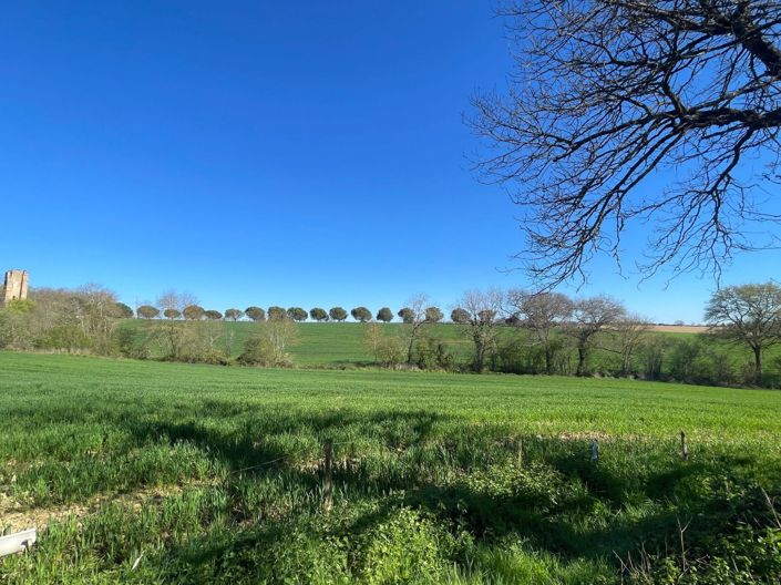 Image No.3-5 Bed House for sale