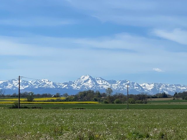 Image No.2-4 Bed Country House for sale