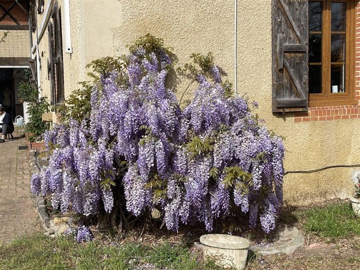 Image No.24-4 Bed Country House for sale