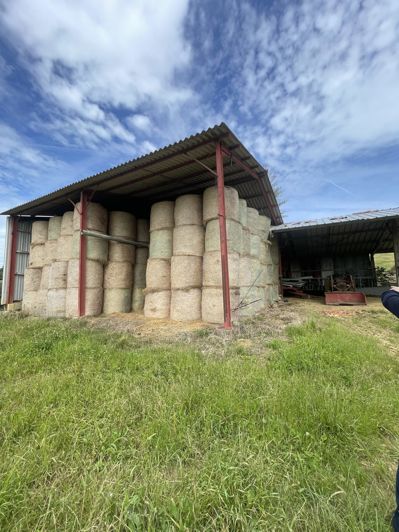 Image No.19-2 Bed House for sale