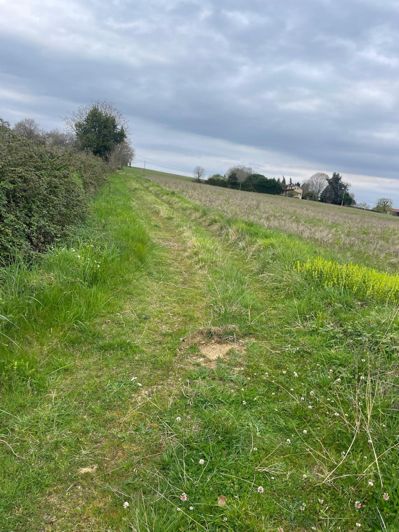 Image No.24-4 Bed House for sale