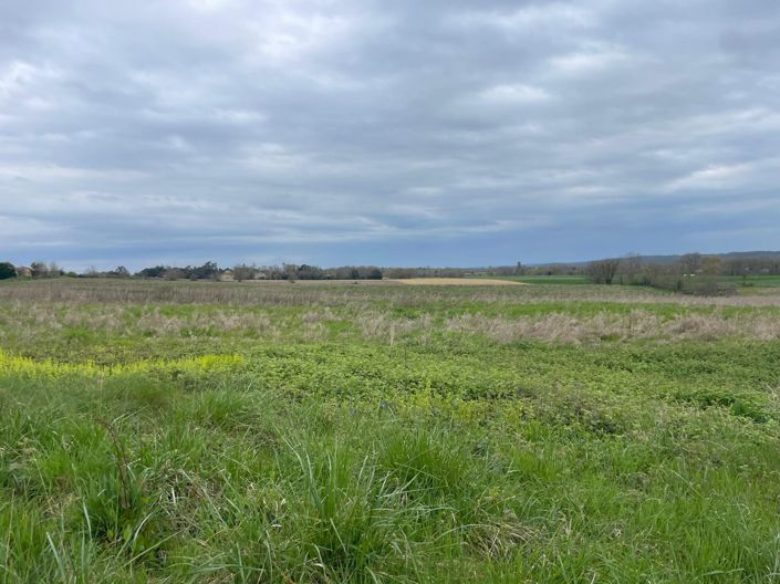 Image No.43-4 Bed House for sale