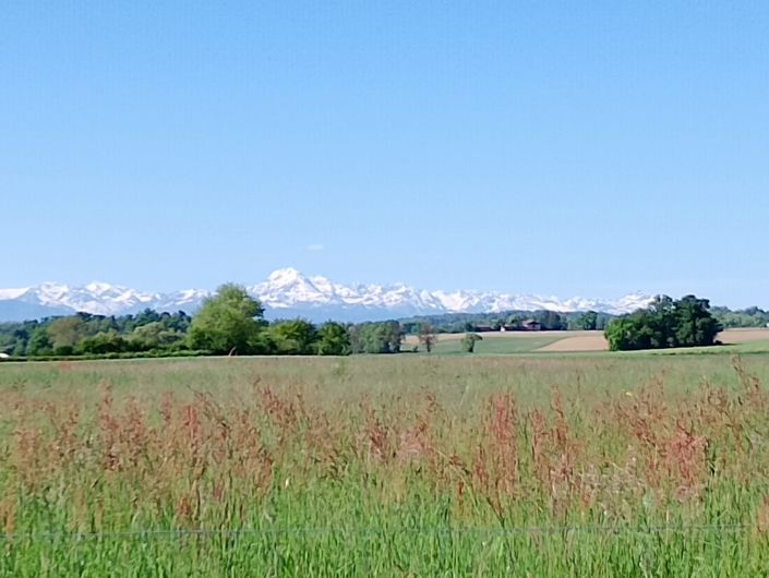 Image No.15-4 Bed House for sale