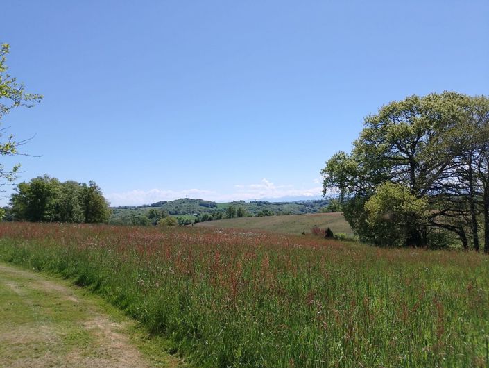 Image No.22-4 Bed House for sale