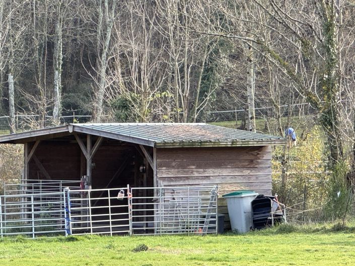 Image No.57-6 Bed House for sale