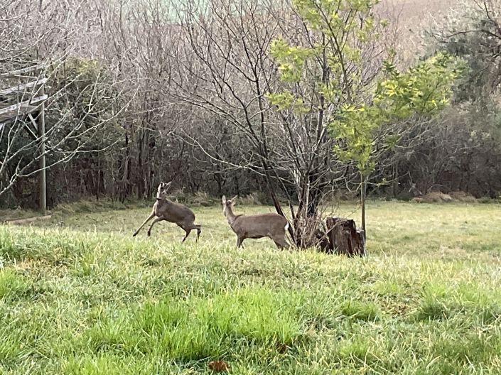 Image No.45-4 Bed Country House for sale