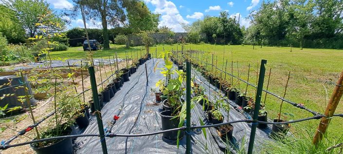 Image No.17-4 Bed House for sale