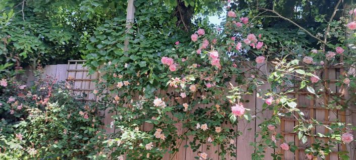 Image No.25-4 Bed House for sale