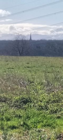 Image No.11-House for sale