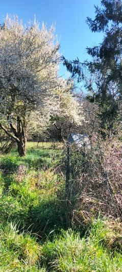 Image No.12-House for sale