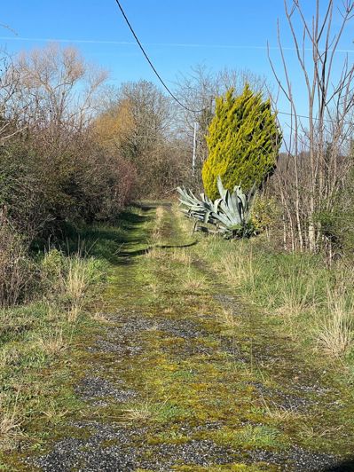 Image No.2-House for sale