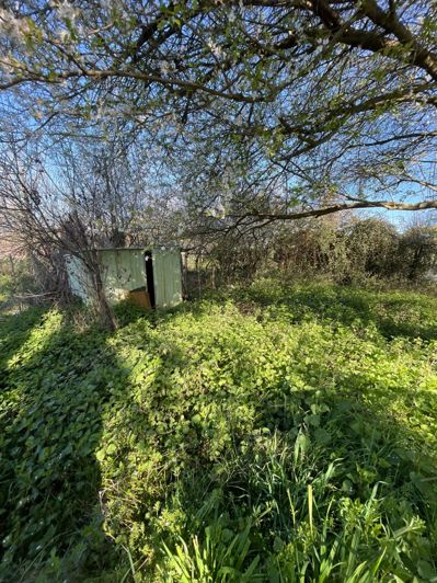 Image No.6-House for sale