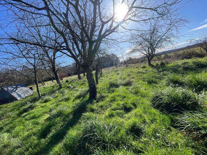 Image No.7-House for sale