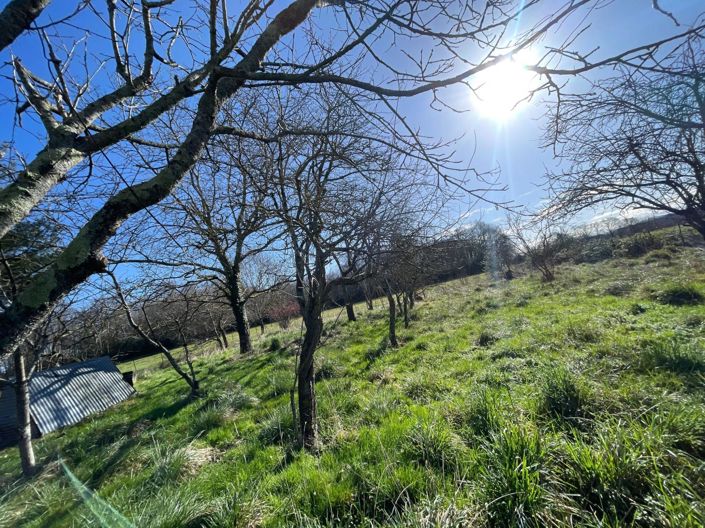 Image No.8-House for sale