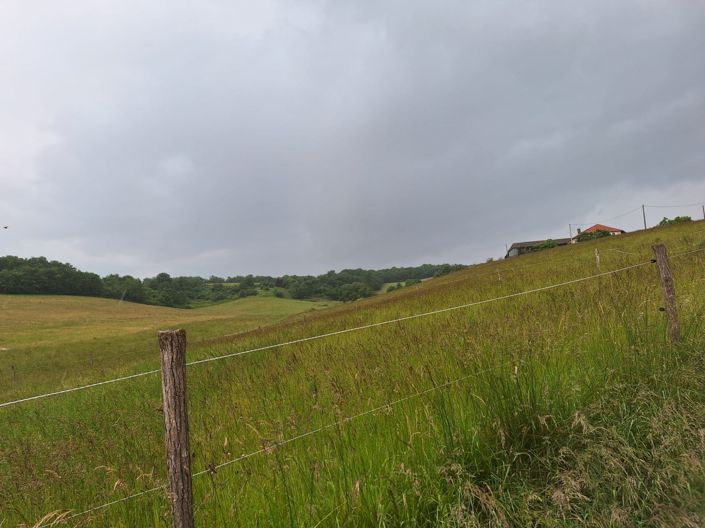 Image No.40-6 Bed House for sale