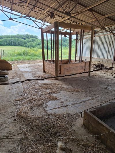 Image No.41-6 Bed House for sale