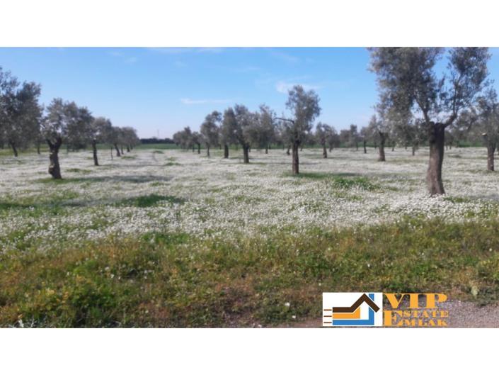 Image No.3-4 Bed Villa / Detached for sale