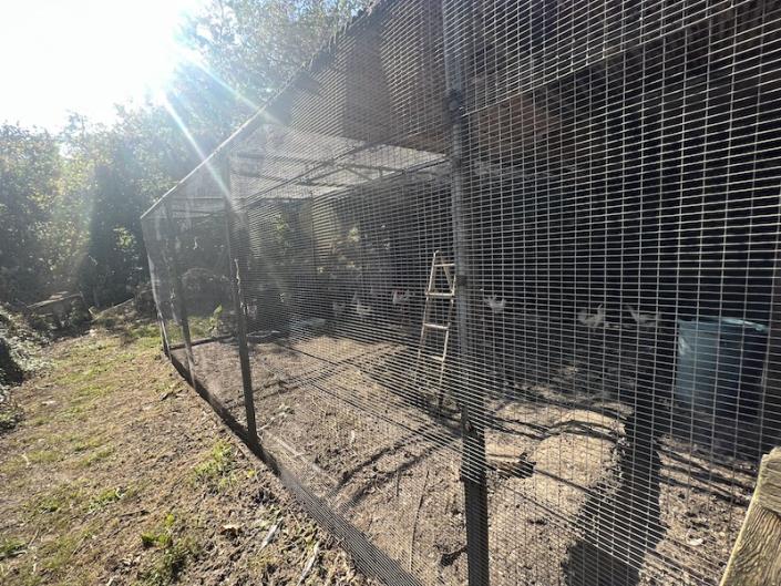 Image No.32-3 Bed Country House for sale