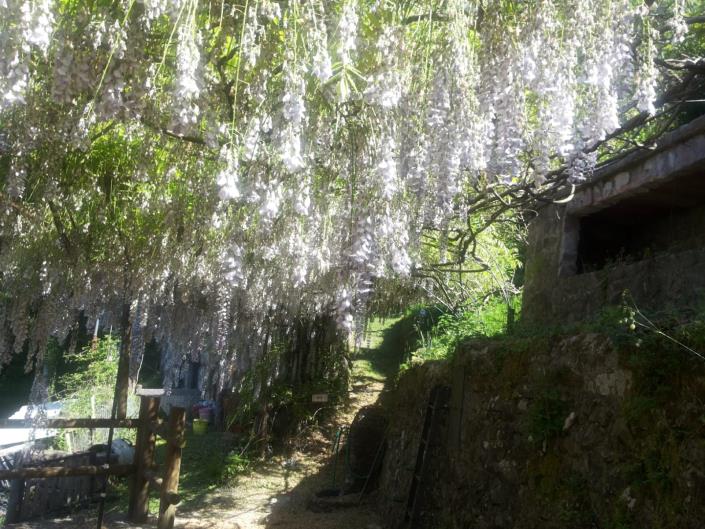 Image No.7-3 Bed Country House for sale