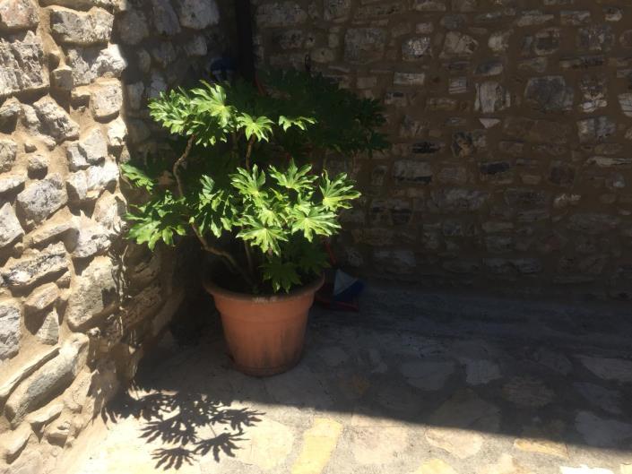 Image No.11-3 Bed Country House for sale