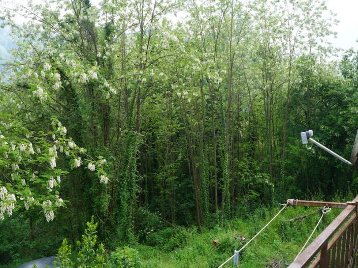 Image No.19-5 Bed House for sale