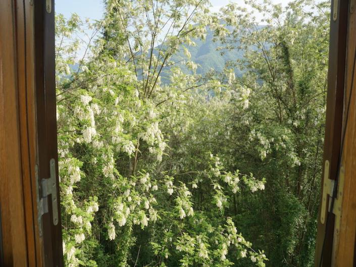 Image No.38-5 Bed House for sale