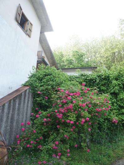 Image No.48-5 Bed House for sale