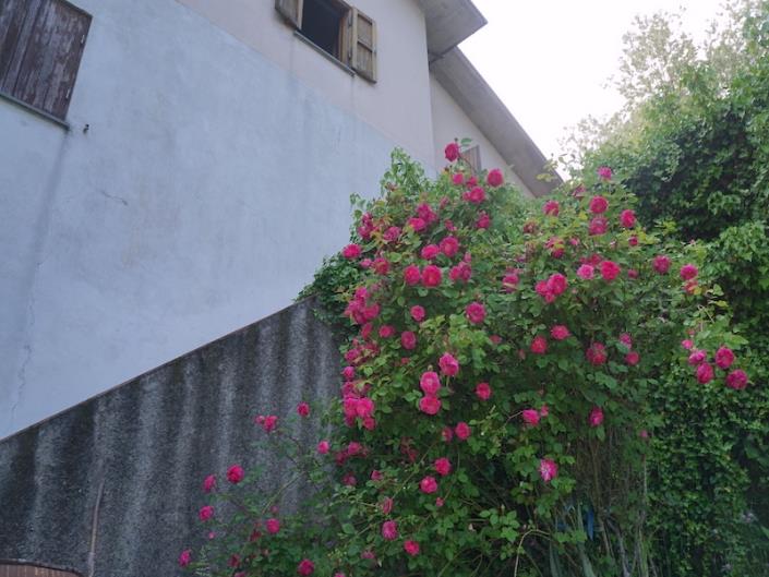 Image No.49-5 Bed House for sale