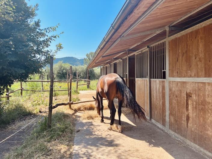 Image No.3-3 Bed Farmhouse for sale