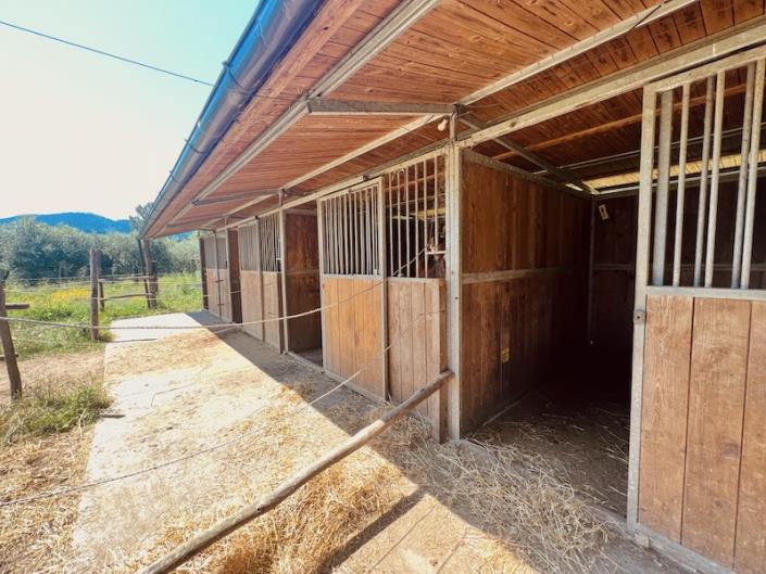 Image No.11-3 Bed Farmhouse for sale