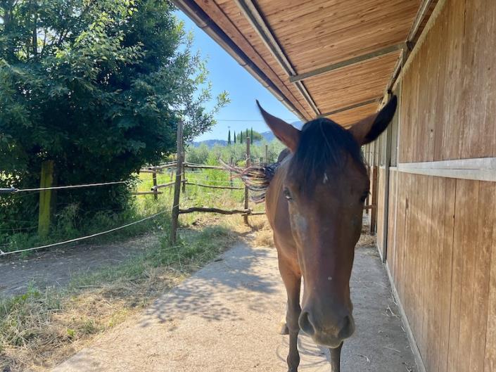 Image No.15-3 Bed Farmhouse for sale