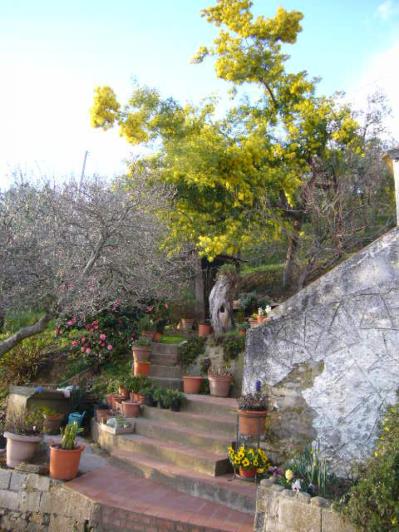 Image No.13-3 Bed House for sale